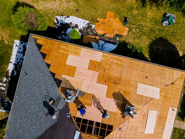 Best Roof Gutter Cleaning  in Woodbury Center, CT